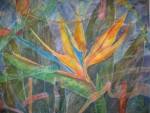 Bird Of Paradise: Karen Kelly