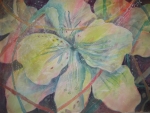 Flower With Ribbons: Karen Kelly