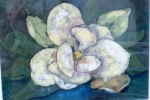Magnolia: Karen Kelly